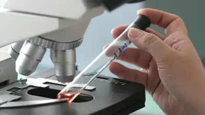 Zakon.kz, фото - Новости Zakon.kz от 24.05.2016 15:31