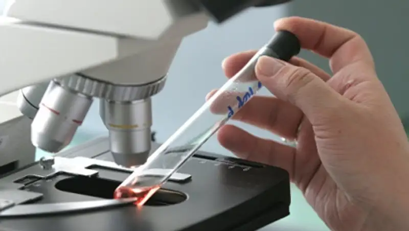 СМИ: в Пекине зарегистрирован второй "завозной" случай лихорадки Зика