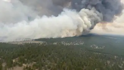 facebook, фото - Новости Zakon.kz от 24.04.2020 10:56