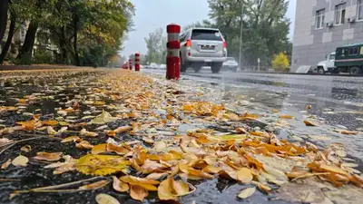 дождь в Алматы, октябрьская погода, фото - Новости Zakon.kz от 14.10.2023 10:01