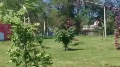 скриншот, фото - Новости Zakon.kz от 20.05.2018 16:03