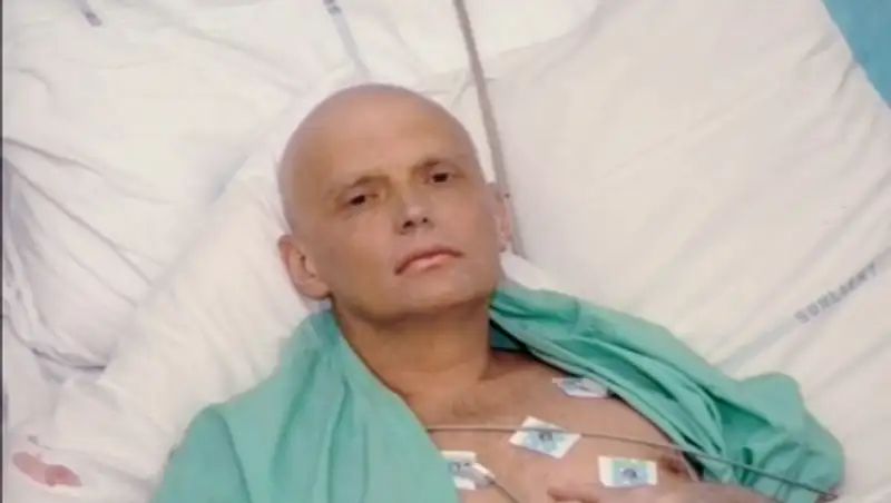 В Лондоне возобновились слушания по делу Литвиненко