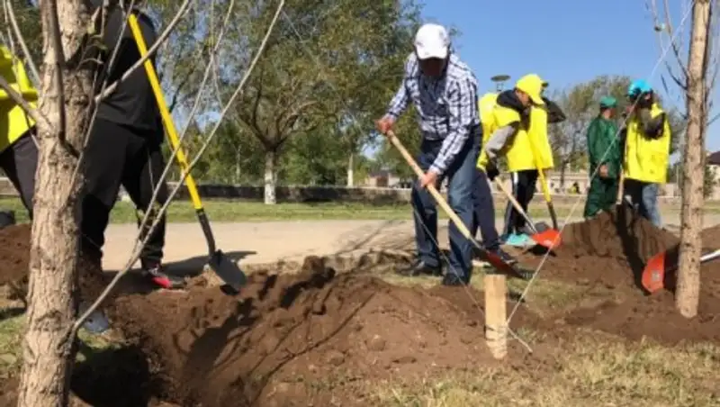 В Астане на общегородском субботнике высажено 9571 дерево