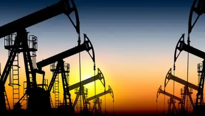 курсив, фото - Новости Zakon.kz от 02.10.2019 16:07