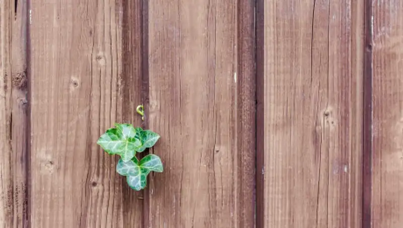 За дыру в заборе директора школы оштрафовали на 600 тысяч тенге