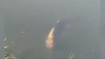 кадр из видео, фото - Новости Zakon.kz от 11.11.2019 09:21