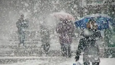 Zakon.kz, фото - Новости Zakon.kz от 15.03.2016 12:02