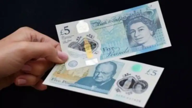 Вегетарианцы Великобритании выступают против пятифунтовой купюры