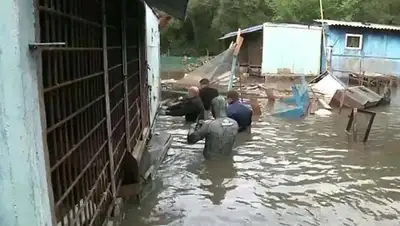 Zakon.kz, фото - Новости Zakon.kz от 02.09.2015 23:24