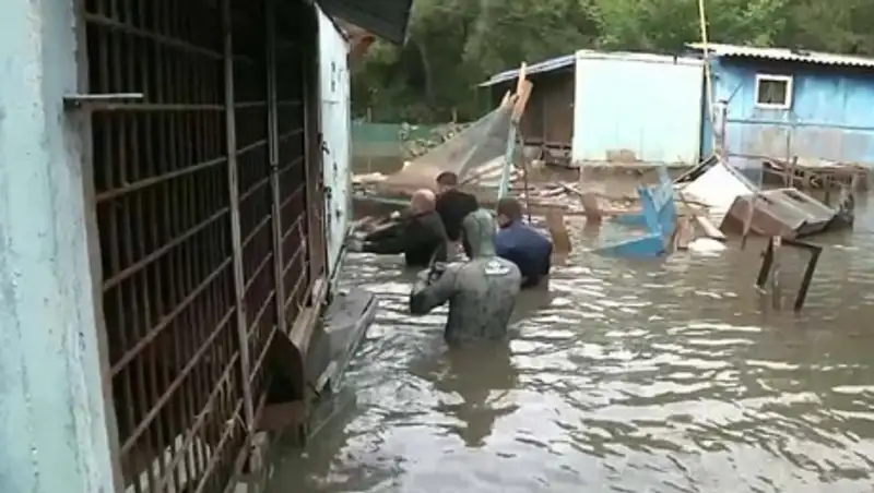 В Уссурийске завершается эвакуация животных из затопленного зоопарка