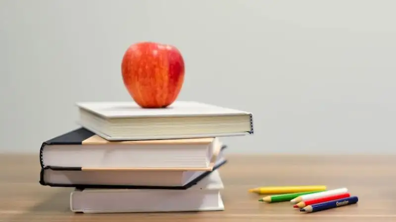 Более 200 столичных педагогов прошли стажировку за рубежом