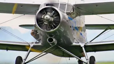 Zakon.kz, фото - Новости Zakon.kz от 02.09.2017 16:30