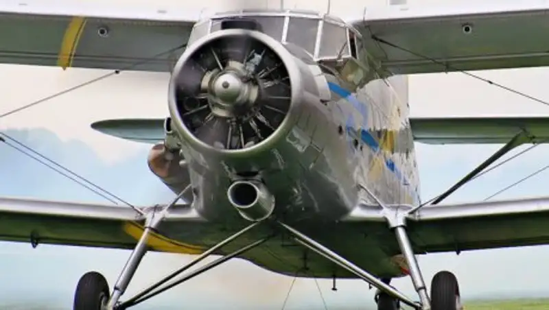 В Балашихе во время показательных полетов упал самолет Ан-2, два человека погибли