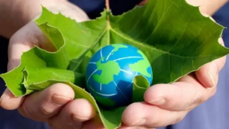 Коалиция за зеленую экономику объединит весь потенциал в продвижении нацпроекта ЭКСПО-2017