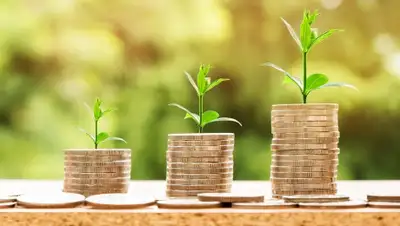 Pixabay, фото - Новости Zakon.kz от 30.01.2020 19:30