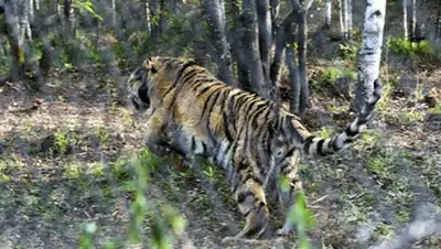 Zakon.kz, фото - Новости Zakon.kz от 27.11.2014 01:59