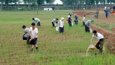 Zakon.kz, фото - Новости Zakon.kz от 15.08.2017 19:01