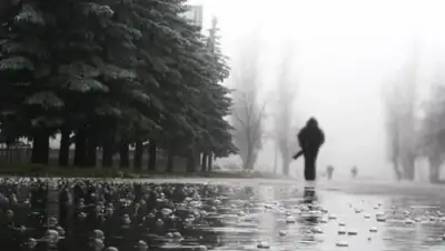 Zakon.kz, фото - Новости Zakon.kz от 25.03.2016 13:44