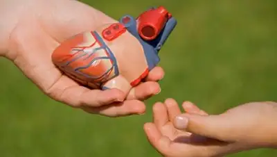 Zakon.kz, фото - Новости Zakon.kz от 22.06.2017 22:35