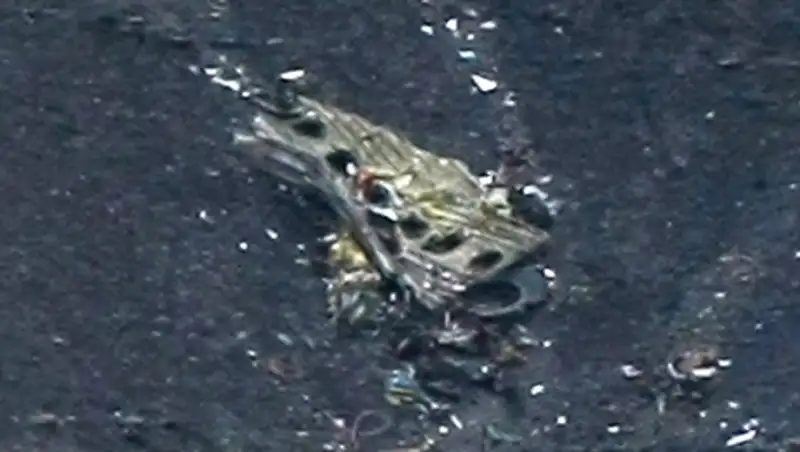 Берлин назвал правдоподобной версию о преднамеренном уничтожении самолета A320