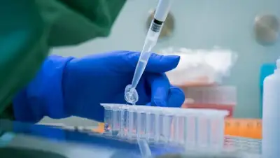 novostipmr.com, фото - Новости Zakon.kz от 06.04.2020 10:51