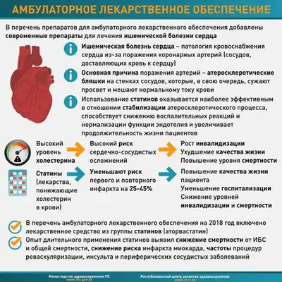 Zakon.kz, фото - Новости Zakon.kz от 07.08.2017 17:57