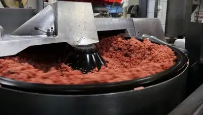 Фото: Sputnik / Владимир Песня, фото - Новости Zakon.kz от 06.12.2017 17:59