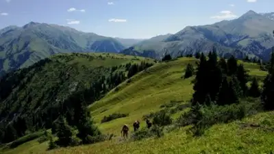 Zakon.kz, фото - Новости Zakon.kz от 14.09.2015 18:01