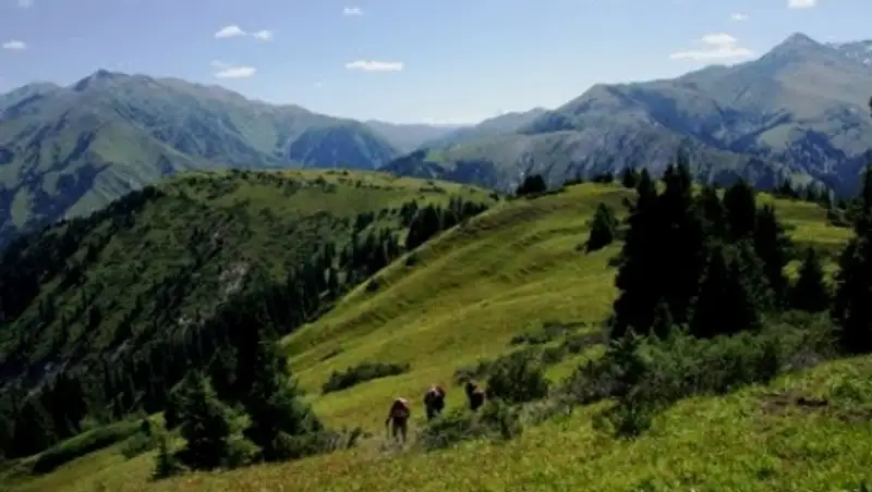 Власти Алматинской области заменят герб на слоган и логотип