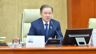 Пресс-служба Мажилиса, фото - Новости Zakon.kz от 15.01.2020 11:13