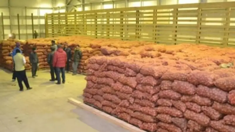 В ЗКО на строительство овощехранилища потратили 100 млн тенге