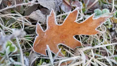 Zakon.kz, фото - Новости Zakon.kz от 09.10.2015 12:31