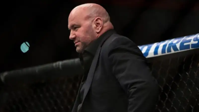 Пройдет ли бой Хабиба против Фергюсона, рассказал глава UFC