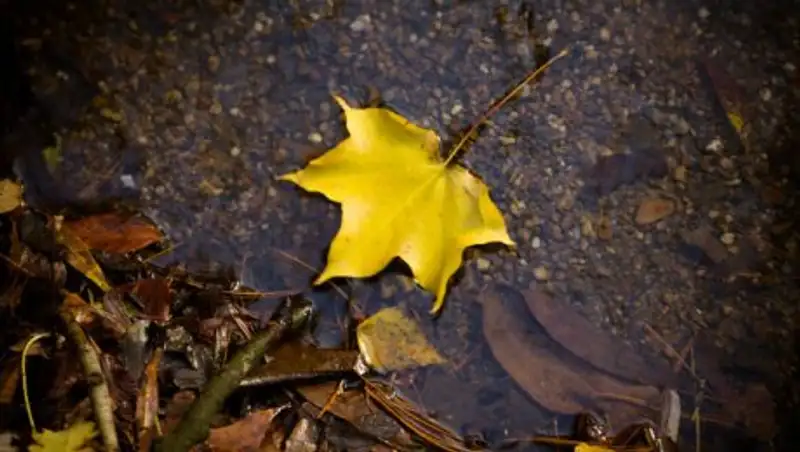 Неустойчивая погода ожидает казахстанцев в четверг