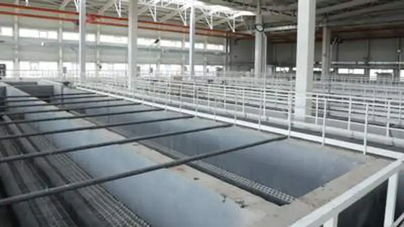 , фото - Новости Zakon.kz от 07.06.2023 16:29