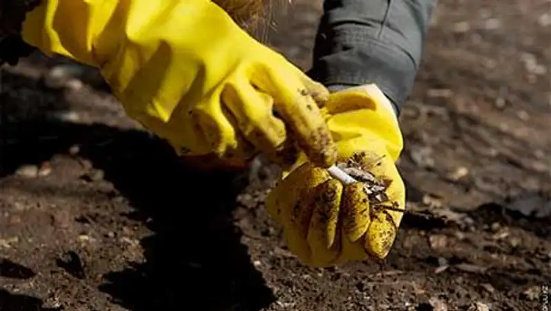 В Костанайской области уборщицы мусора оштрафованы за его выброс в неположенном месте