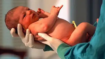 Zakon.kz, фото - Новости Zakon.kz от 08.07.2014 16:21