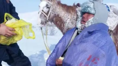 Zakon.kz, фото - Новости Zakon.kz от 16.11.2016 17:12