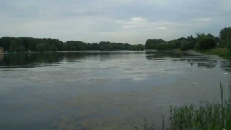 Тело неизвестного обнаружено в пруду в Кокшетау