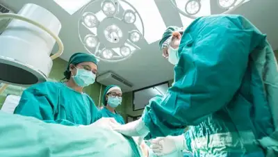 pixabay.com, фото - Новости Zakon.kz от 04.02.2020 17:43