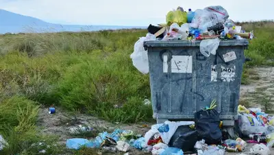 Pixabay, фото - Новости Zakon.kz от 08.11.2019 23:25