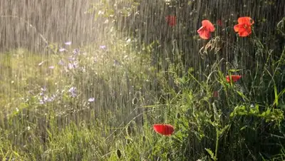 Zakon.kz, фото - Новости Zakon.kz от 06.06.2016 14:08