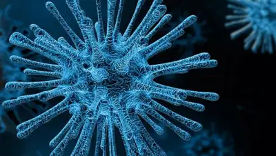 Pixabay, фото - Новости Zakon.kz от 19.06.2020 20:06