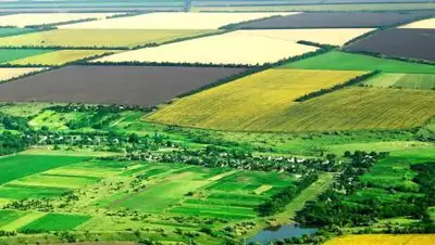 gov.kz, фото - Новости Zakon.kz от 10.04.2021 22:52