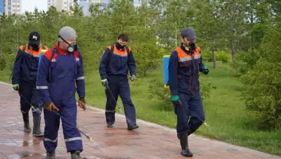 astana.gov.kz, фото - Новости Zakon.kz от 05.06.2020 12:40