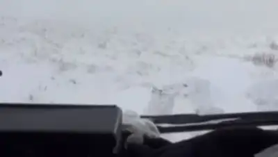 Zakon.kz, фото - Новости Zakon.kz от 15.12.2016 15:00