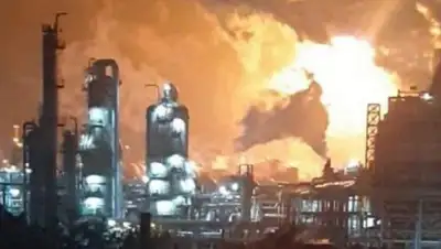 РБК, фото - Новости Zakon.kz от 04.03.2020 08:30