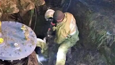 zerkalo-gazeta.com, фото - Новости Zakon.kz от 11.11.2018 16:03