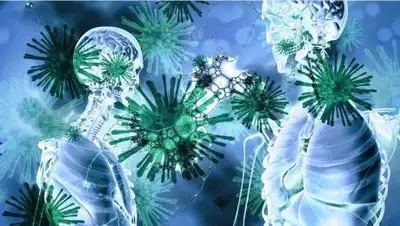 pixabay.com, фото - Новости Zakon.kz от 14.10.2020 10:53