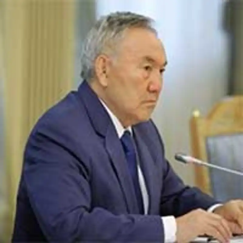 Н. Назарбаев отметил необходимость активизации работы по улучшению криминогенной обстановки в стране, фото - Новости Zakon.kz от 25.07.2013 19:42